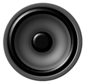 turn on the speakers speaker
